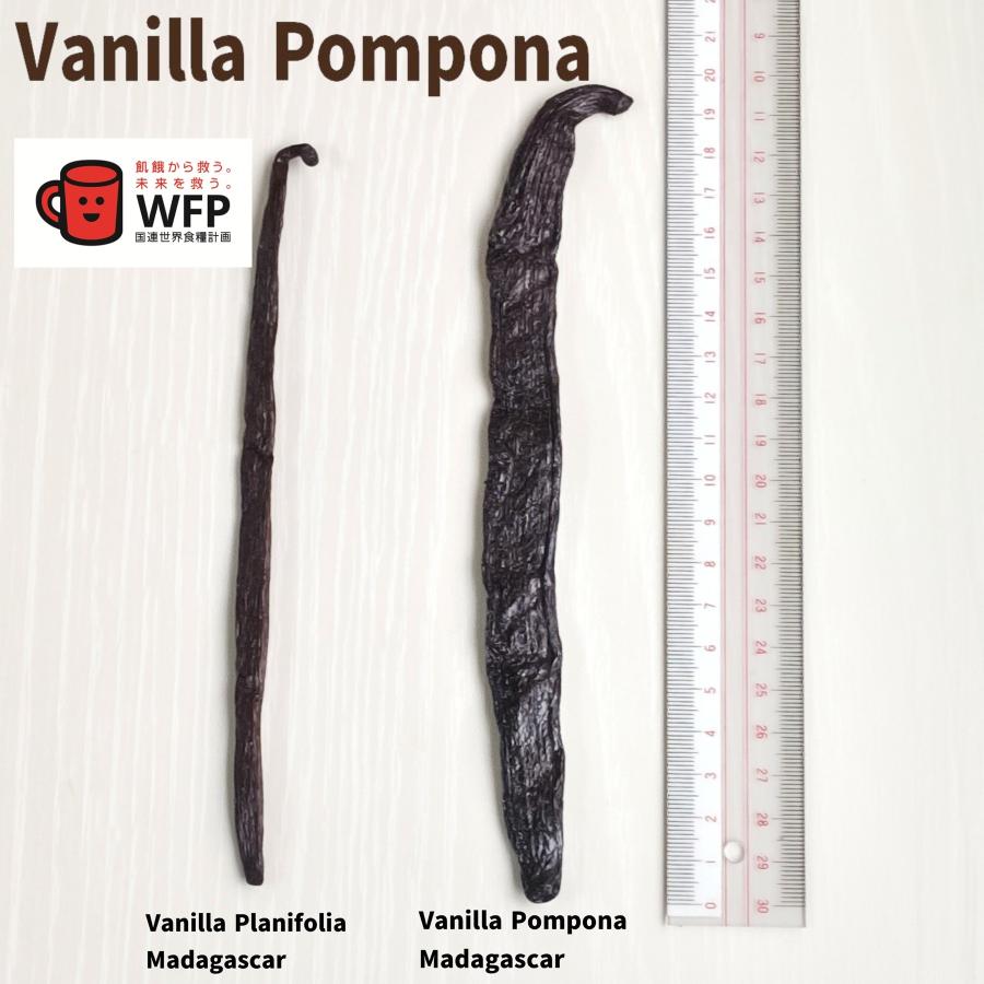 バニラビーンズ マダガスカル産 バニラポンポナ : バニラshop Yahoo!店