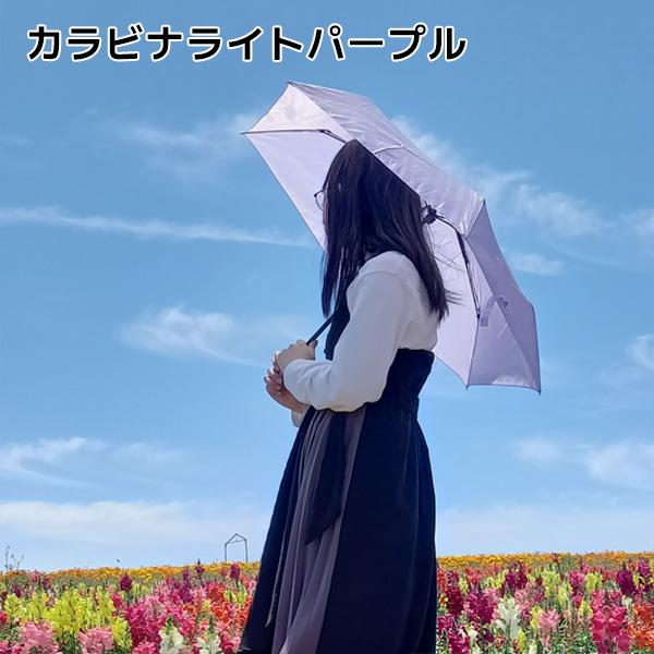 CRUX（クラックス） 無地 折りたたみ傘 50~55cm カラビナ手元 透明窓