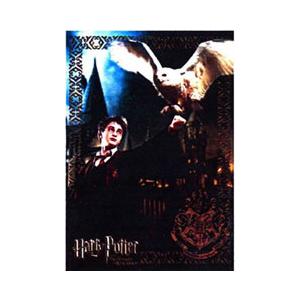 ハリーポッターとアズカバンの囚人 ポスター HARRY POTTER3 映画