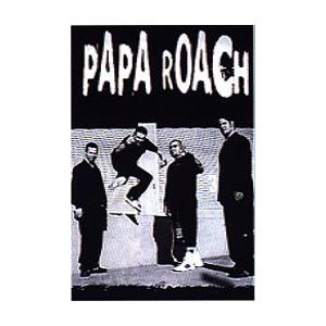 パパ・ローチ　ポスター《PAPA ROACH》　《Papa Roach》｜vanitystudioremix
