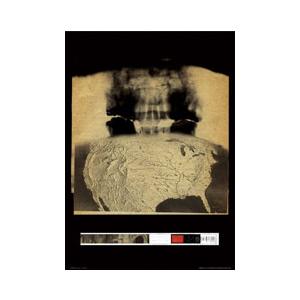 未使用新品　Radiohead レディオヘッド　ポスター　1994年 レディオヘッド ポスター 《RADIOHEAD》 : バニティスタジオ