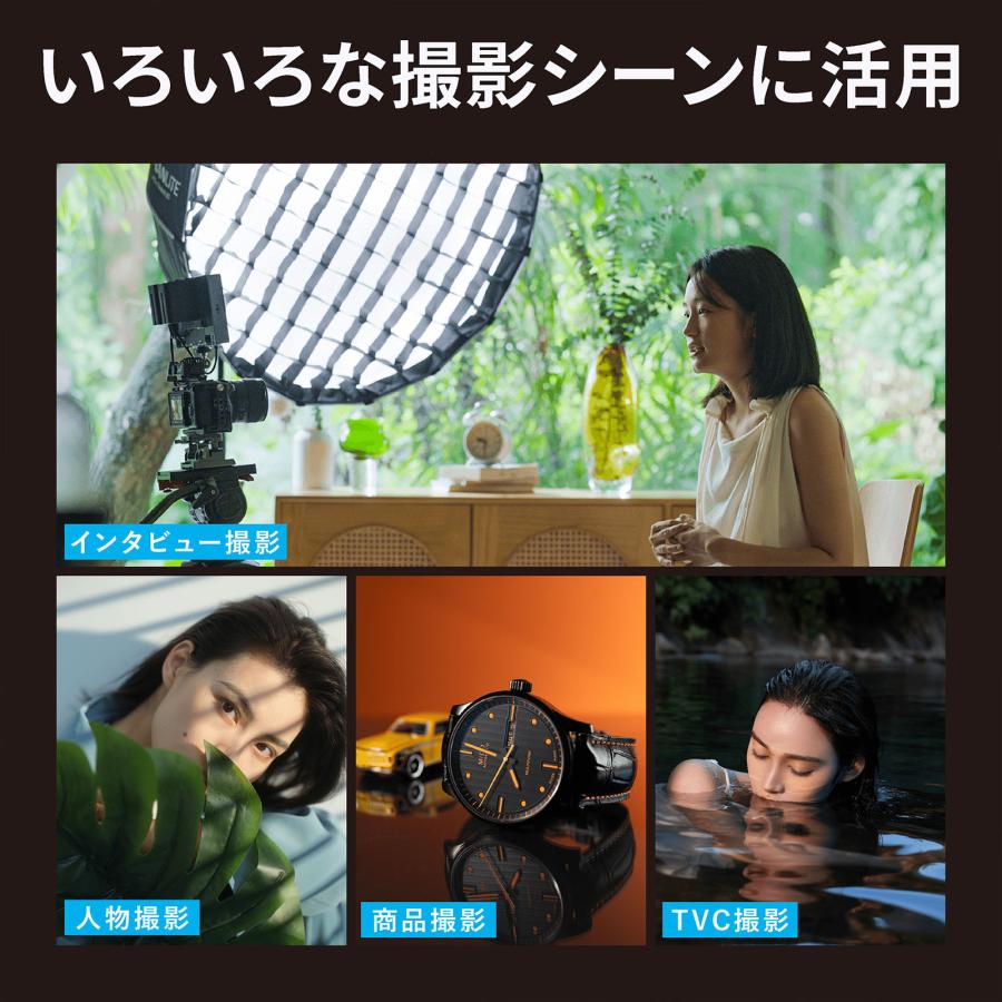 NANLITE FC-60B 撮影用ライト スタジオライト バイカラー 出力78W 色  