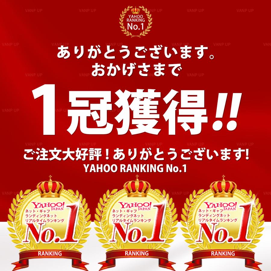 ランディングネット 玉網 たも網 ラバー 渓流 折りたたみ 青物 フィッシング 釣り シャフト 網 三角 伸縮 アルミ製  釣り具 3.0m |  | 02