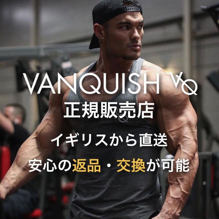 VANQUISH FITNESS 正規品 メンズ ヴァンキッシュ フィットネス Unconquerableモデル スウェット VQ 筋トレ トレーニングウェア フィジーク ボディビル｜vanquish-fitness｜03