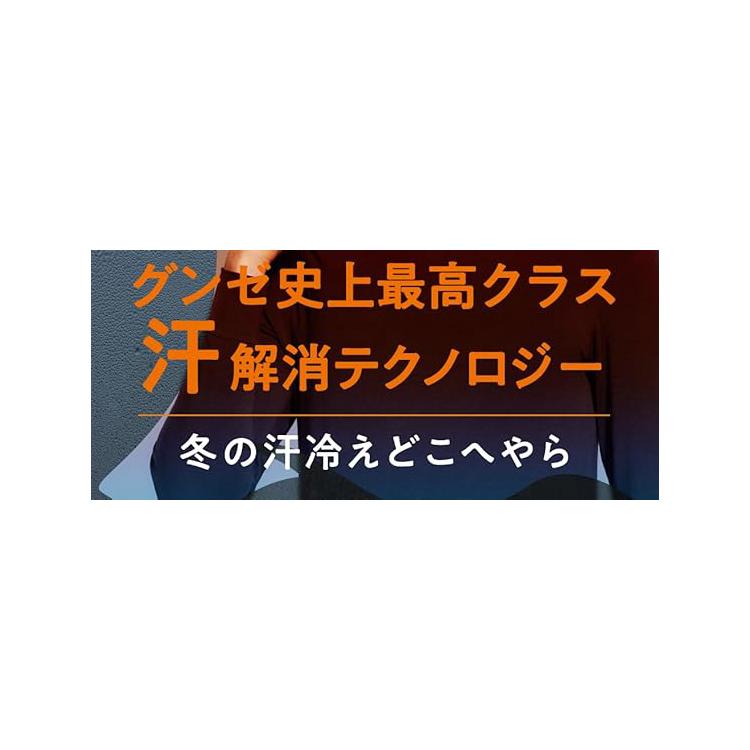 【ファイヤーアセドロン】毛混 ウール クルー丈ソックス メンズ 靴下 25-27 | GUNZE | 01