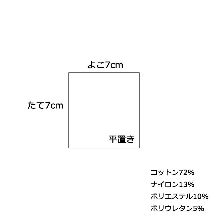 NIKE ナイキ リストバンド 両手用 メンズ レディース スポーツ 汗拭き テニス ランニング バスケ トレーニング BN3000 | Champion | 05