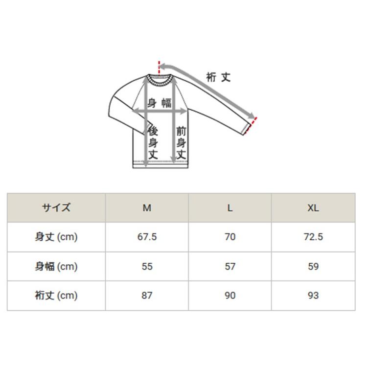 Champion（チャンピオン） CPFU ハーフジッププルオーバー 20SS【春夏