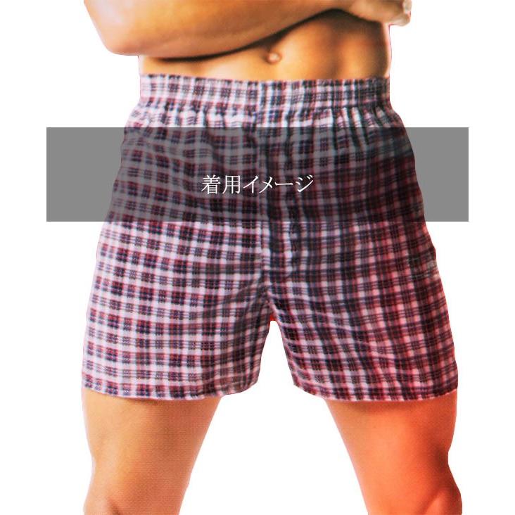 Hanes（ヘインズ） トランクス3枚セット/先染め柄/3枚組/メンズ