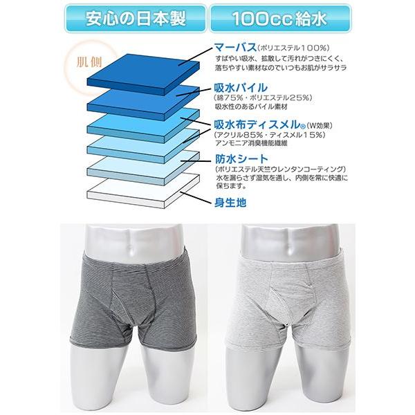 失禁パンツ男性用ボーダー柄２枚セット（紳士100cc）(33019) |  | 02