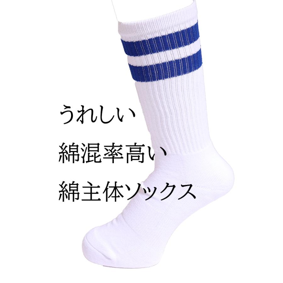 Healthknit（ヘルスニット） 2足組 ソックス 靴下 メンズ ヘルスニット