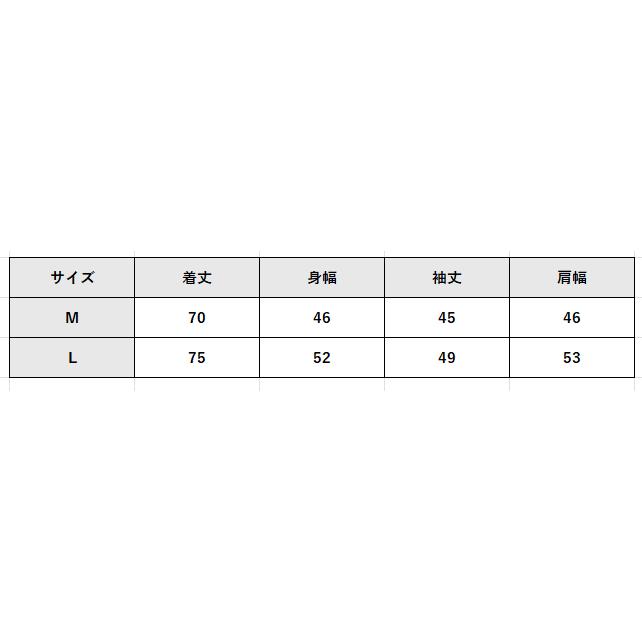 GUNZE（グンゼ） 日本製 釦付き シャツ 面二シャツ ヘンリーネック