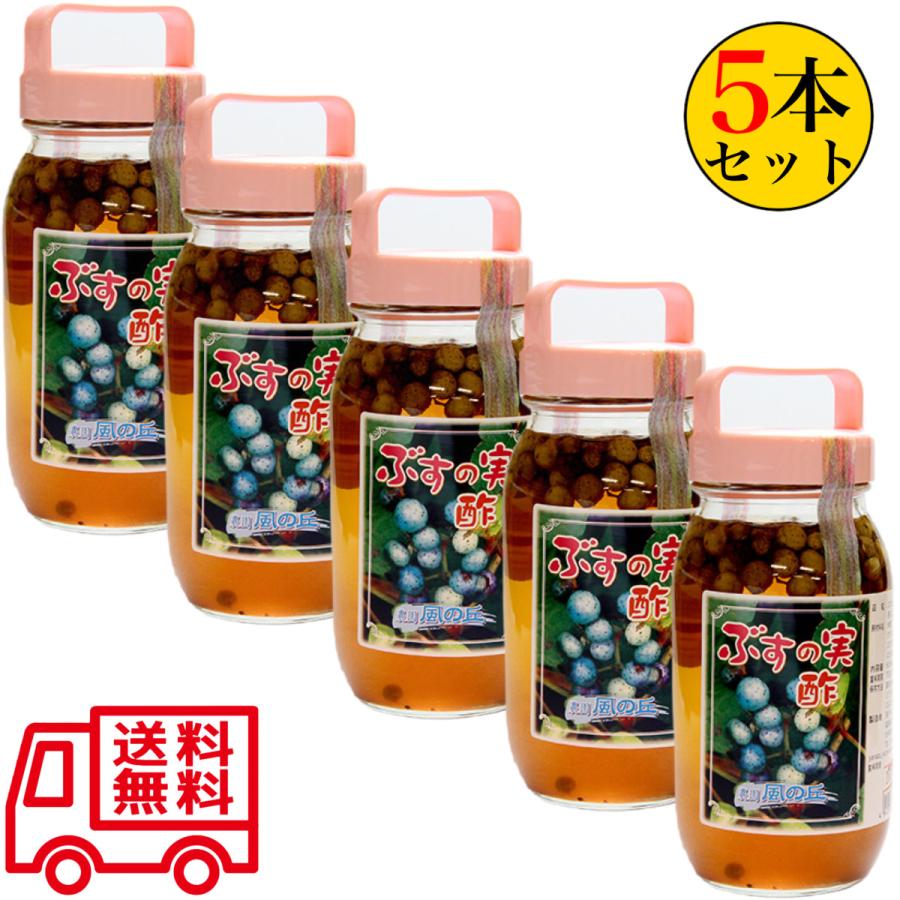 やないづ食品 ぶすの実酢 800ml×5本セット うまぶどう茶 うまぶどう酢 ノブドウ ウマブドウ 送料無料_3
