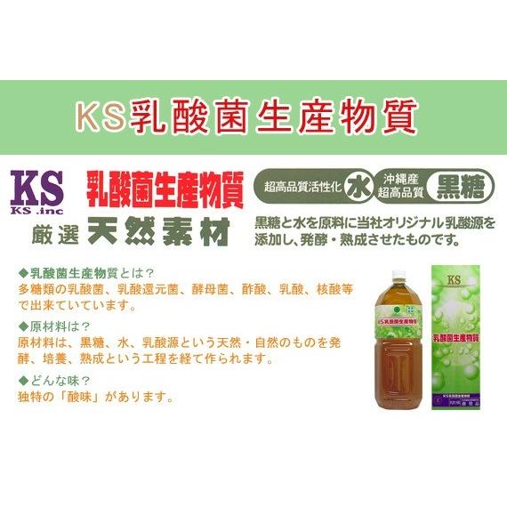 乳酸菌生産物質 KSメルト 500ml KS-MELT／ケイエスメルト【即日発送/送料無料/条件一切なし！】｜vape-land