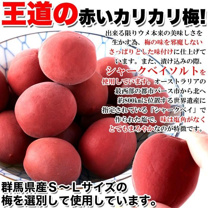 国産 かりかり梅(梅しば) 800g | 測量用品・計測用品の販売 株式会社