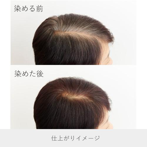 naiad（ナイアード） 白髪染め ヘアカラー ヘナ黒茶 (No.4) 400g 毛