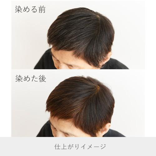 白髪染め ヘアカラー ヘナ100% 400g 赤茶系 Naiad ナイアード カラー剤 カラーリング 毛染め トリートメント効果｜vape-land｜02