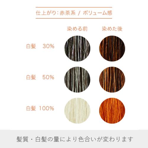 白髪染め ヘアカラー ヘナ100% 400g 赤茶系 Naiad ナイアード カラー剤 カラーリング 毛染め トリートメント効果｜vape-land｜03