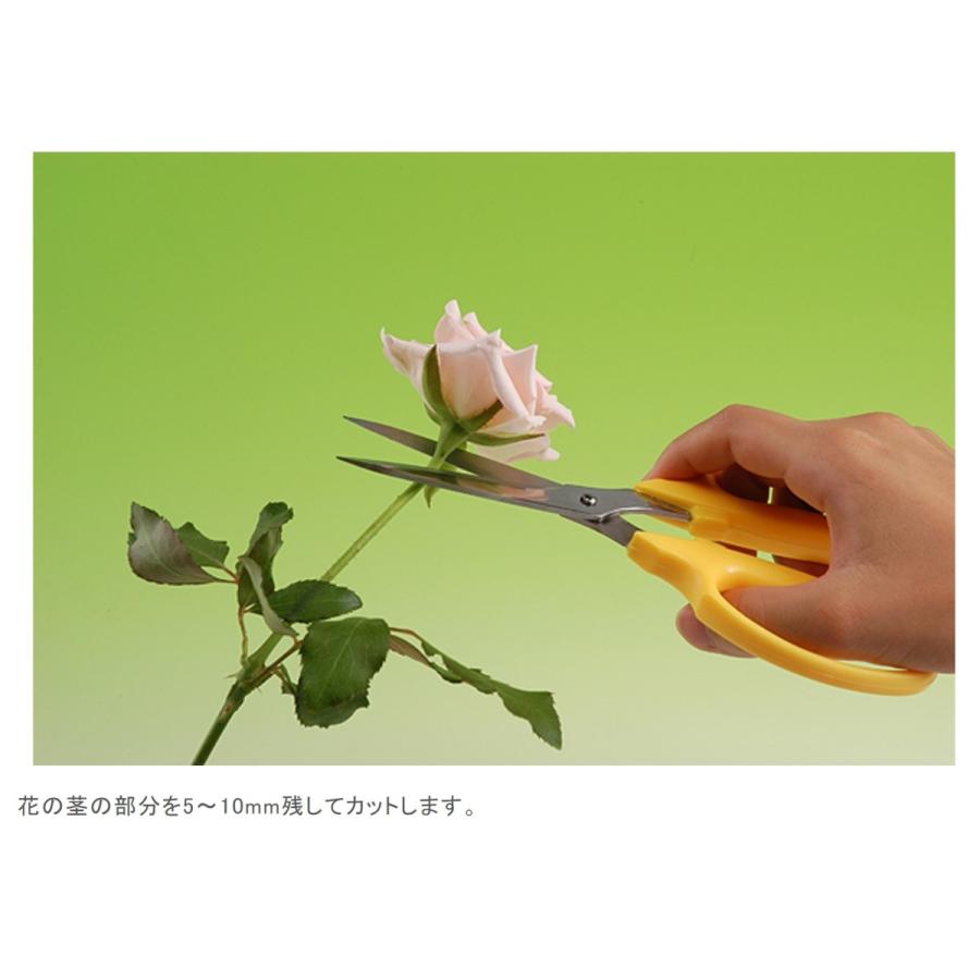 シリカゲル ドライフラワー用 乾燥剤 1kg 2個セット 細粒タイプ ハンドメイド 手作り 花材 材料 業務用 大容量 豊田化工 送料無料 Jb 1272 World Next 通販 Yahoo ショッピング