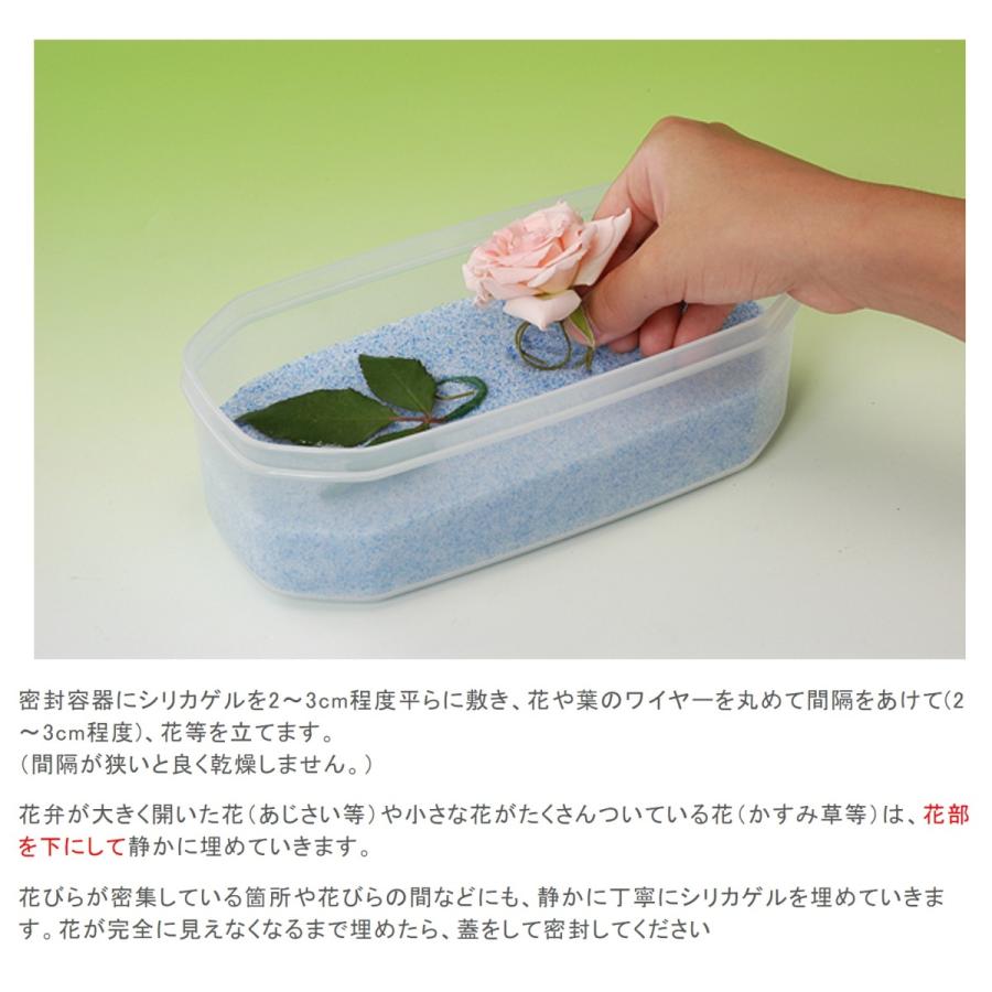 シリカゲル ドライフラワー用 乾燥剤 1kg 細粒タイプ ハンドメイド 手作り 花材 材料 業務用 大容量 豊田化工 送料無料 Jb 636 World Next 通販 Yahoo ショッピング