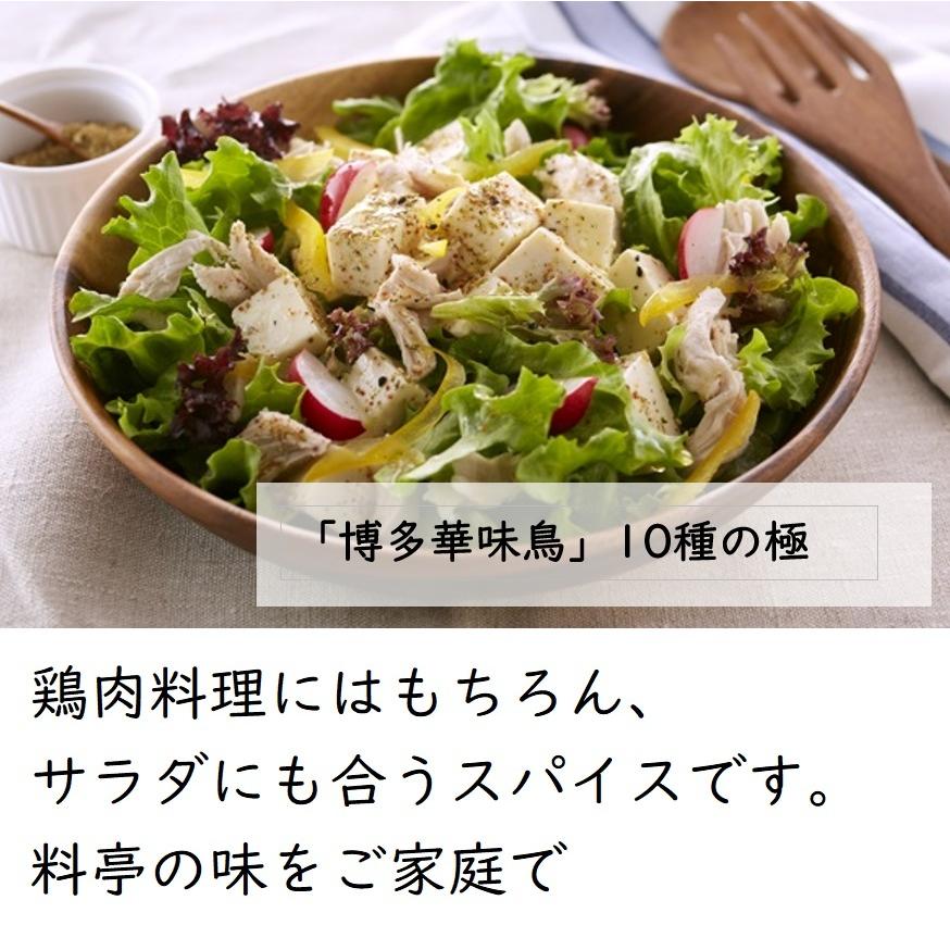 博多華味鳥 10種の極スパイス60g＋贅の極みスパイス55g 万能スパイス2