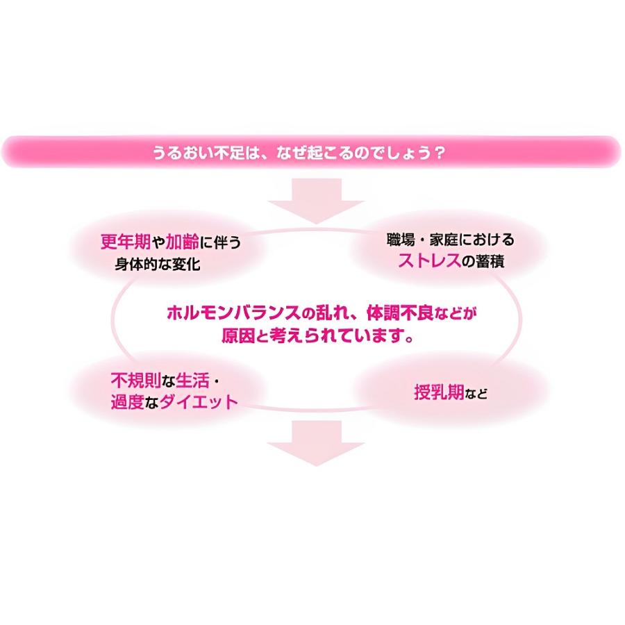 リューブゼリー 分包タイプ (5g×5包) 3箱セット 潤滑ゼリー 水溶性潤滑ゼリー 女性用 日本製 性交痛緩和｜vape-land｜03