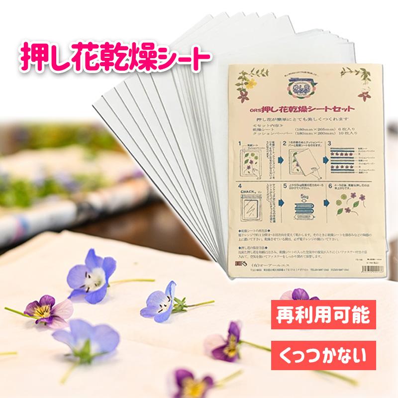 オーアールエス 押し花 乾燥シートセット FS-106 しおり スマホケース