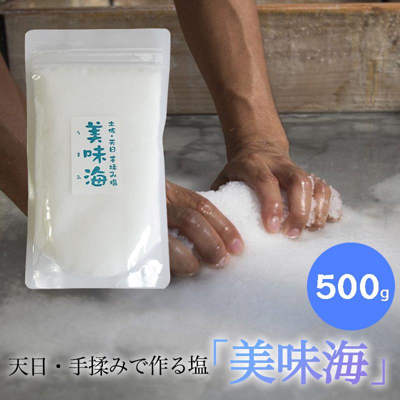 天日塩 美味海 500g うまみ 海工房 天日自然海塩 国産 塩 天然 高知県