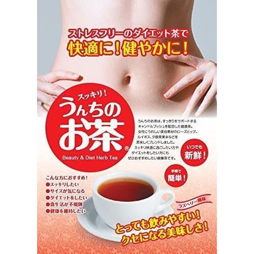 源齋 うんちのお茶 4gx15包入り 1箱 ダイエットハーブティー 毎日爽快