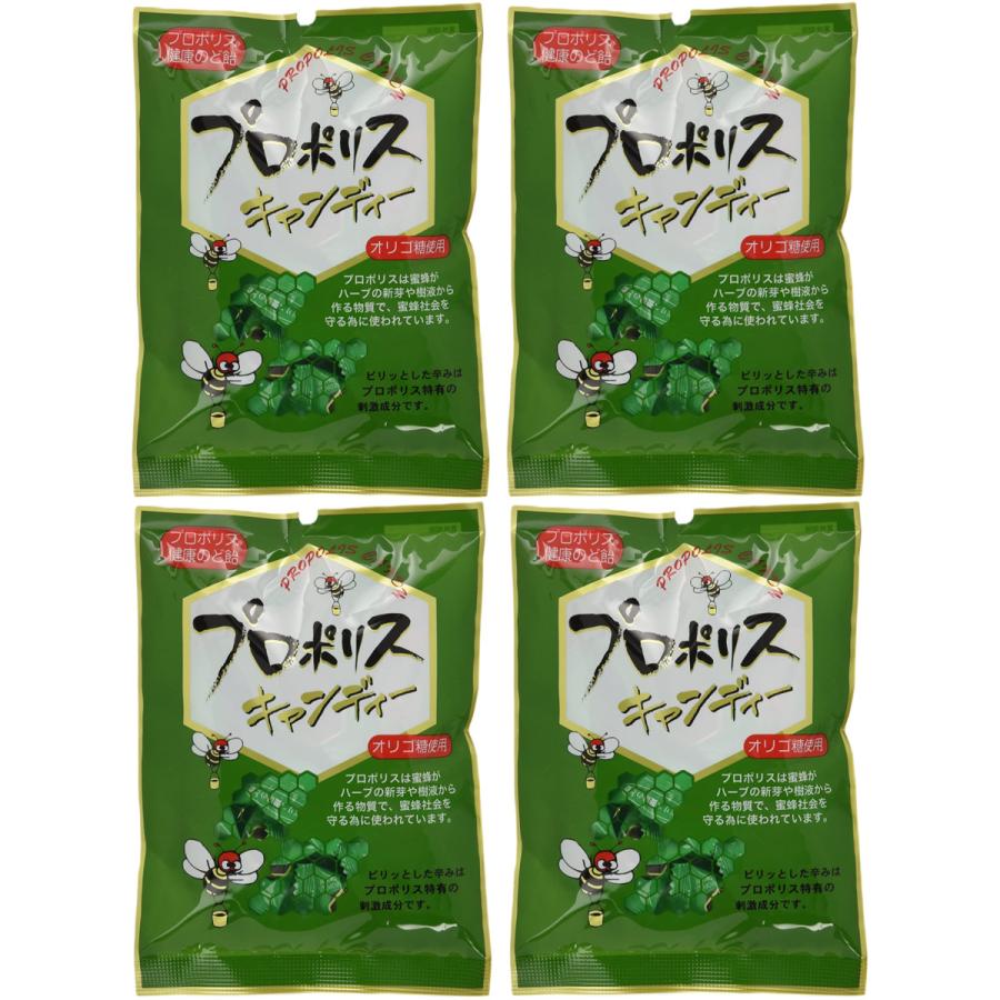 森川健康堂 プロポリスキャンディー 25粒 ×8個セット #2960 100g 森川健康堂 プロポリスキャンディー 25粒 ×8個セット #2960 100g