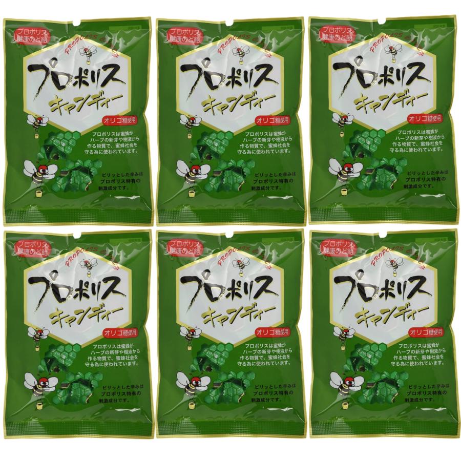 森川健康堂 プロポリス キャンディー 100g×6袋セット 健康 のど飴 送料無料