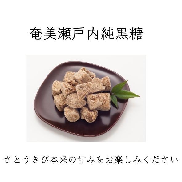 奄美瀬戸内純黒糖 230g×2袋セット 奄美自然食本舗 無添加 さとうきび100％ ブロックタイプ 送料無料｜vape-land｜02