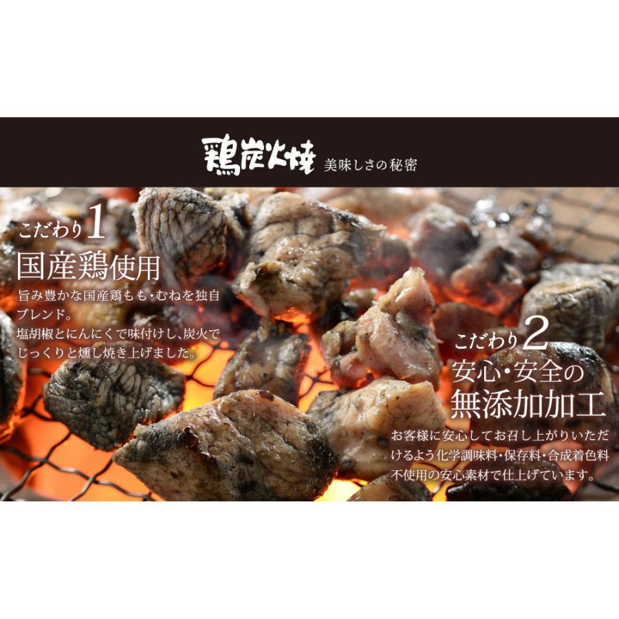 日向屋 宮崎名物 鶏炭火焼 100g ×5袋セット 国産 焼き鳥 送料無料｜vape-land｜07