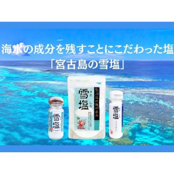 宮古島の雪塩 パラダイスプラン 雪塩 クッキングボトル 50g×3本セット
