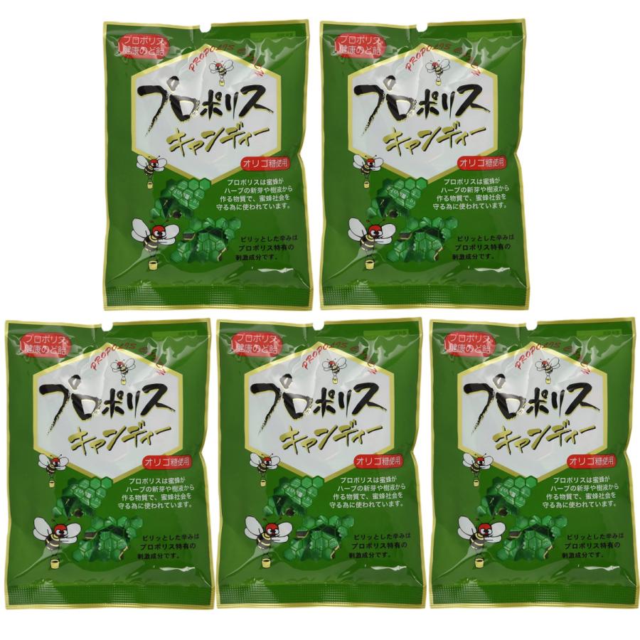 特売 森川健康堂 プロポリス キャンディー 100g×5袋セット 健康 のど飴 送料無料