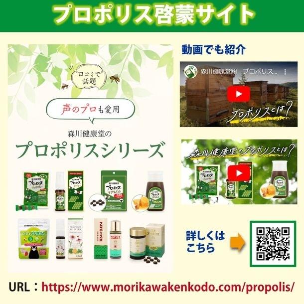 森川健康堂 プロポリススプレー 20ml×2本セット 風邪予防 ブラジル 喉スプレー 送料無料｜vape-land｜05