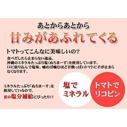 梅塩トマト 110g×5袋セット 沖縄の海塩 ぬちまーす使用 沖縄美健 ドライトマト 新食感 紀州梅 美容 健康 夏バテ｜vape-land｜03