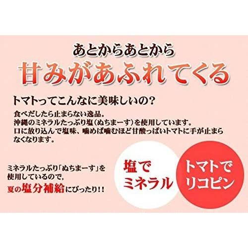 梅塩トマト 110g 沖縄の海塩 ぬちまーす使用 沖縄美健 ドライトマト 新食感 美容 健康 夏バテ｜vape-land｜03