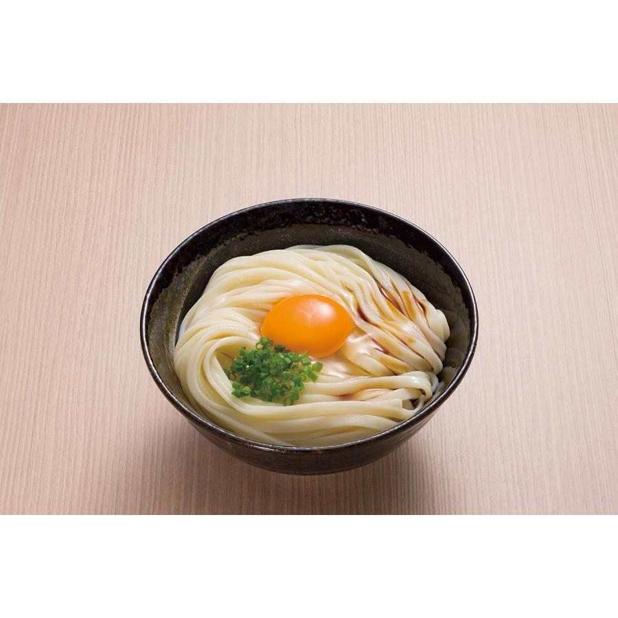 さぬきシセイ 讃岐太麺強腰うどん 600g 乾麺 さぬきうどん さぬきシセイ 讃岐太麺強腰うどん 600g 乾麺 さぬきうどん