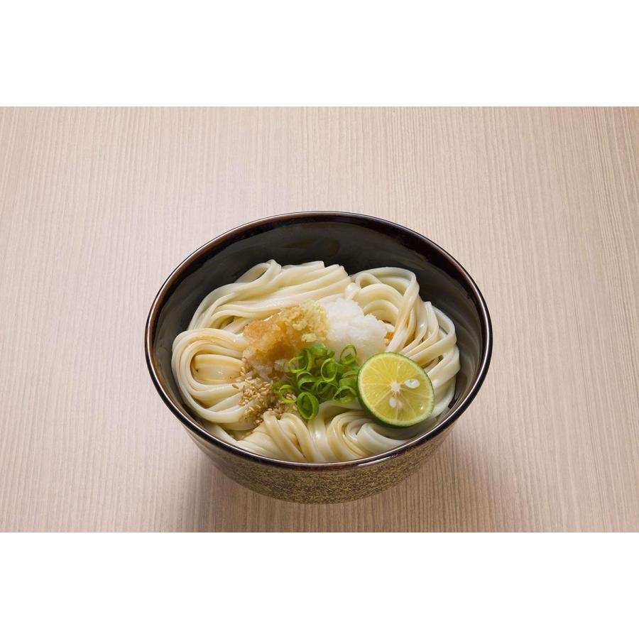さぬきシセイ 讃岐太麺強腰うどん 600g 乾麺 さぬきうどん さぬきシセイ 讃岐太麺強腰うどん 600g 乾麺 さぬきうどん
