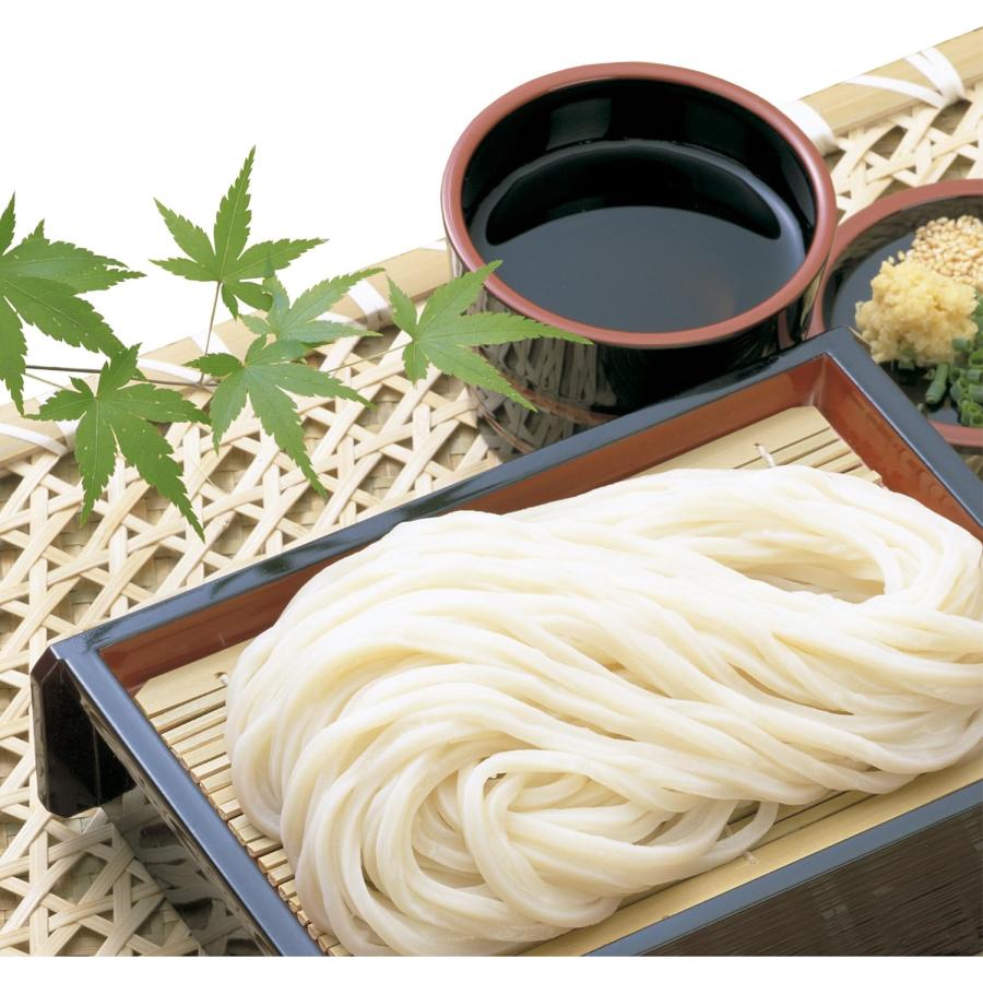 さぬきシセイ 讃岐太麺強腰うどん 600g 乾麺 さぬきうどん さぬきシセイ 讃岐太麺強腰うどん 600g 乾麺 さぬきうどん