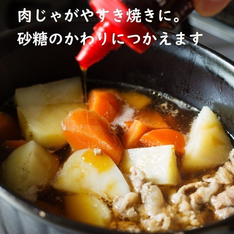 デーツシロップ 230g×10個セット トレテス正規販売店 無添加 無農薬