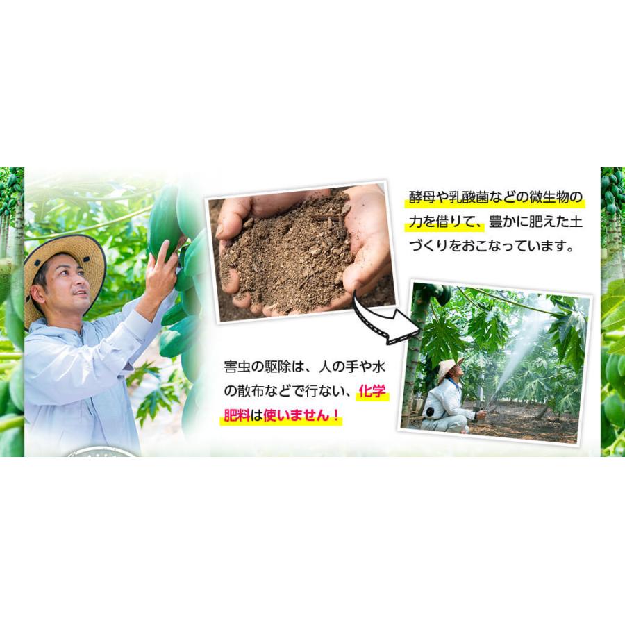 萬寿のしずく 500ml×5本セット 熱帯資源植物研究所 EM発酵 萬寿の雫 健康飲料 送料無料｜vape-land｜03