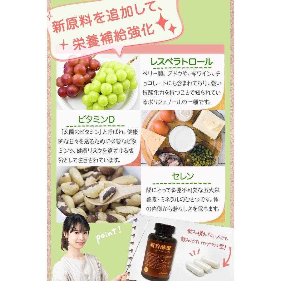 新谷酵素 サプリメント エンザイムプレミアム 210カプセル(30