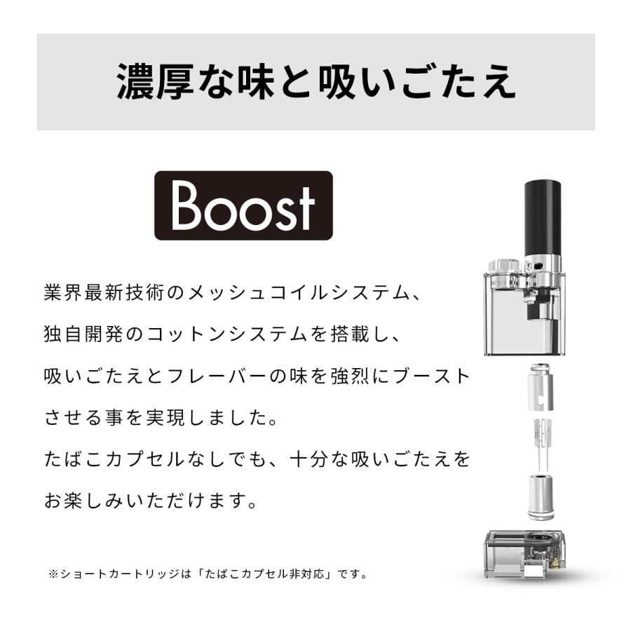 電子タバコ ベイプ TARLESS PLUS ターレス プラス 専用カートリッジ  各種 ベプログ VAPE ベープ 本体 禁煙 充電式 EASY VAPE｜vapecollection｜09