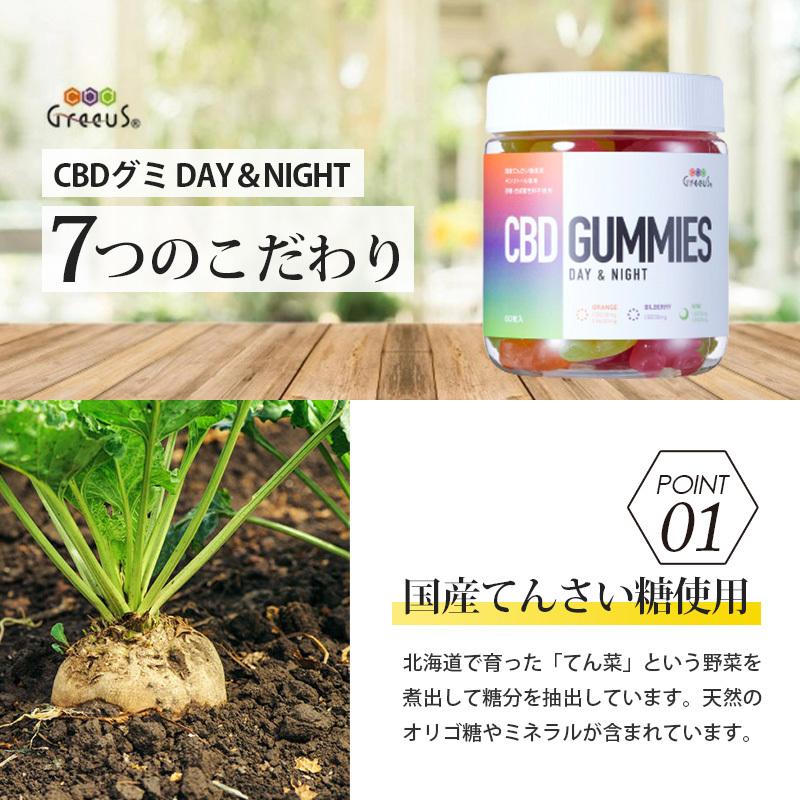 特別訳あり特価 観葉植物 おしゃれ ミニ テラリウム コケリウム 苔 コケ 苔テラリウム 苔リウム 園芸 苔玉 植物 シダ植物 ハイドロカルチャー ポット プテリス