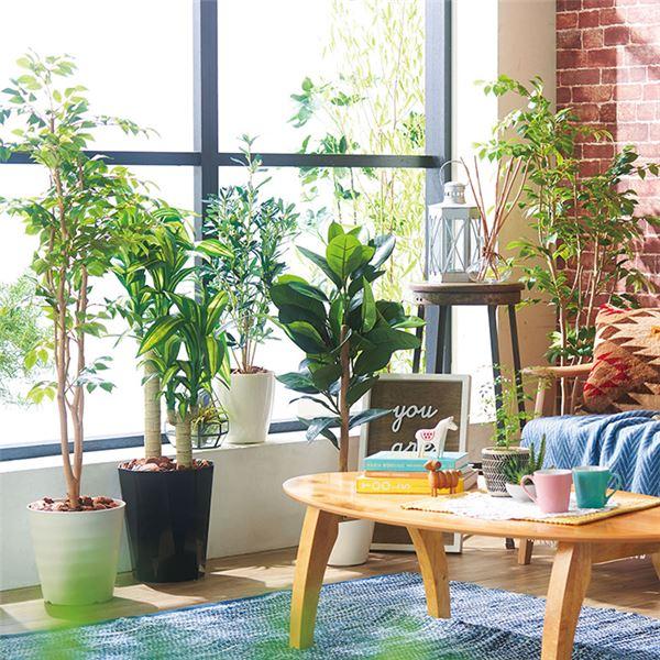 【新登場】 インテリアグリーン コウフクノキ 全長110cm 人工 観葉植物 インテリア用品 【2098925942】(13276円)