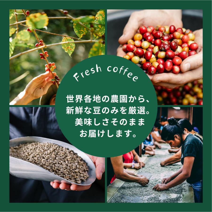 コーヒー 生豆 ゲイシャ ゴビ農園 エチオピア 500g 業務用 自宅焙煎