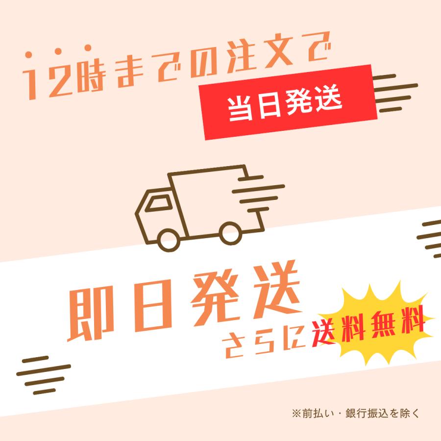 NFC CD型キーホルダー《透明ケース付き》 5個セット : Gentique - 通販