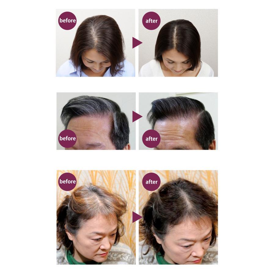アウラ ルミナマジック SR 40g 光で白髪が染まるヘアクリーム ブラウン