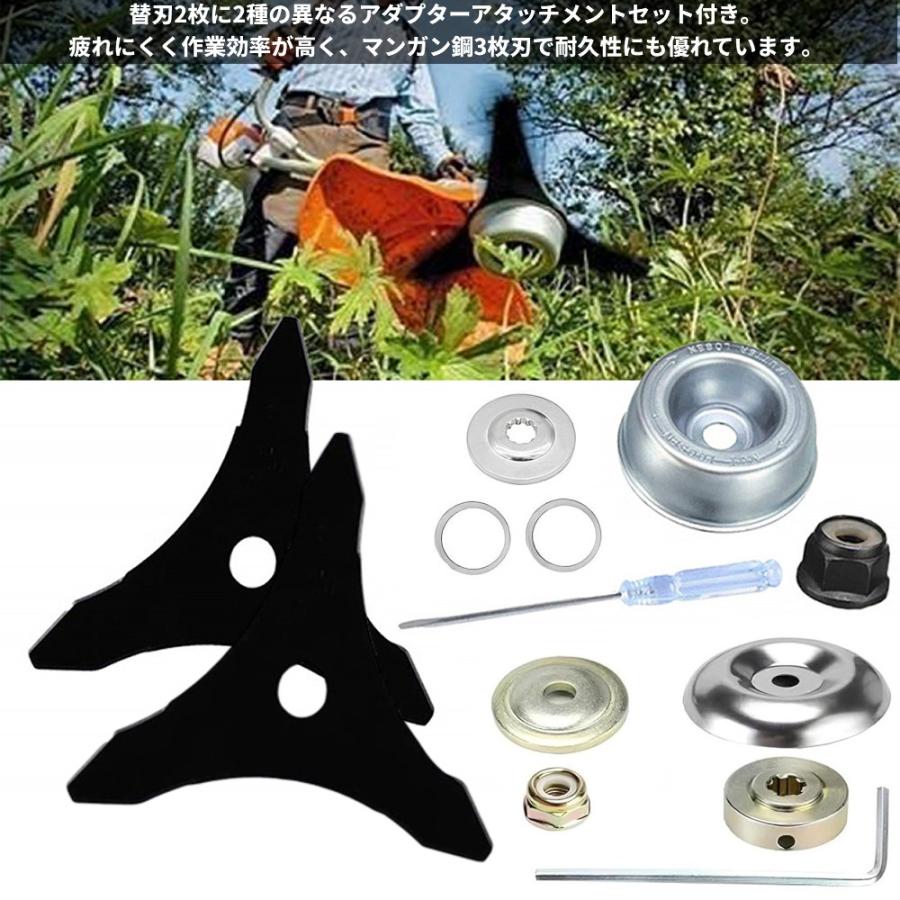 並行輸入品】マンガン鋼 3枚刃 替刃キット (2枚) 回転直径255mm×1,1mm